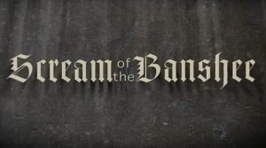 B級Z級映画好きならそれなりに楽しめるホラー映画『スクリーム・オブ・バンシー ～殺戮の妖精～』のネタバレなし感想