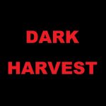 『ダーク・ハーヴェスト（2023）』のネタバレなし感想／不気味な雰囲気が漂うハロウィンを題材にしたホラー映画